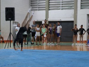 Copa Mineira de Ginástica