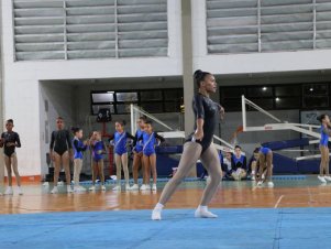 Copa Mineira de Ginástica