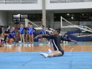 Copa Mineira de Ginástica