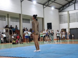 Copa Mineira de Ginástica