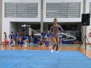 Copa Mineira de Ginástica