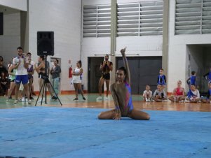 Copa Mineira de Ginástica