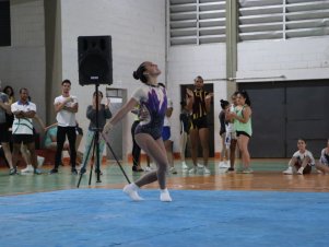 Copa Mineira de Ginástica