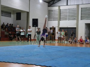 Copa Mineira de Ginástica