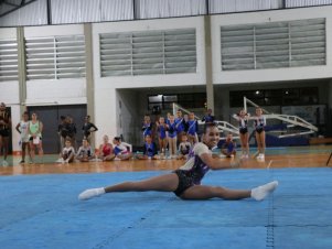 Copa Mineira de Ginástica