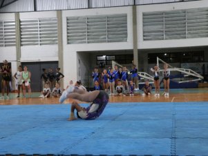 Copa Mineira de Ginástica