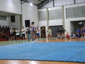 Copa Mineira de Ginástica