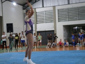 Copa Mineira de Ginástica