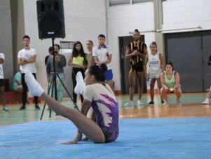 Copa Mineira de Ginástica