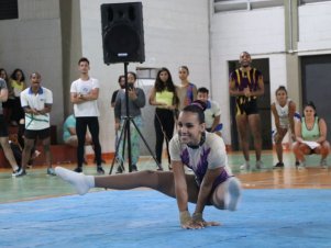 Copa Mineira de Ginástica