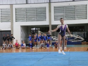 Copa Mineira de Ginástica