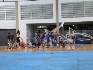 Copa Mineira de Ginástica