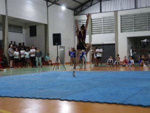 Copa Mineira de Ginástica