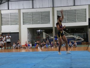 Copa Mineira de Ginástica