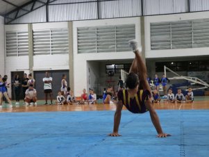 Copa Mineira de Ginástica