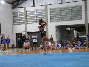 Copa Mineira de Ginástica