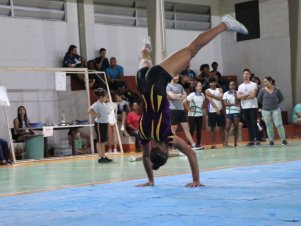 Copa Mineira de Ginástica