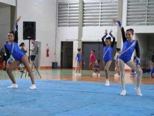 Copa Mineira de Ginástica