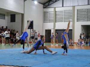 Copa Mineira de Ginástica