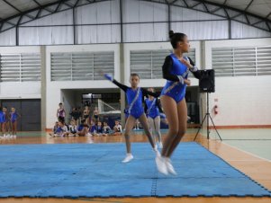 Copa Mineira de Ginástica