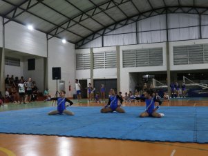 Copa Mineira de Ginástica