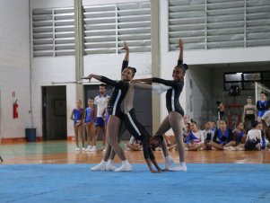 Copa Mineira de Ginástica