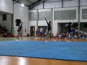 Copa Mineira de Ginástica