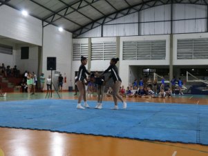 Copa Mineira de Ginástica