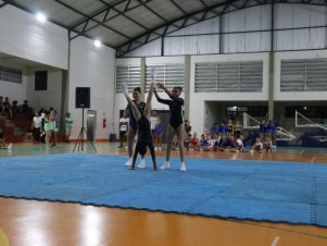 Copa Mineira de Ginástica