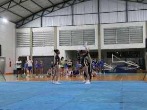 Copa Mineira de Ginástica