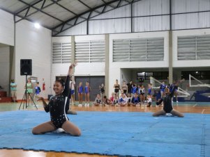 Copa Mineira de Ginástica