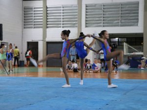 Copa Mineira de Ginástica