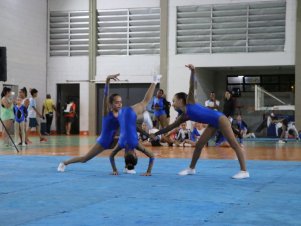 Copa Mineira de Ginástica