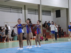 Copa Mineira de Ginástica