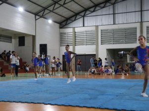 Copa Mineira de Ginástica