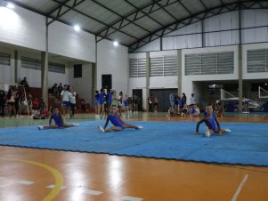 Copa Mineira de Ginástica