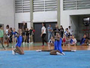 Copa Mineira de Ginástica