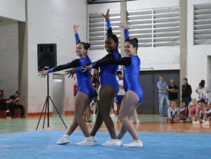 Copa Mineira de Ginástica