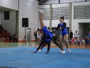 Copa Mineira de Ginástica