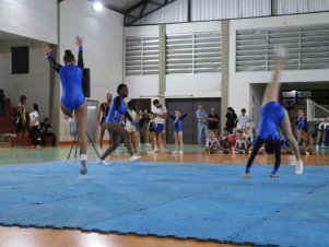 Copa Mineira de Ginástica