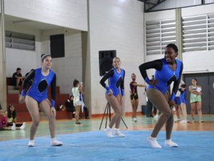 Copa Mineira de Ginástica