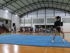 Copa Mineira de Ginástica