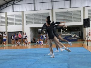 Copa Mineira de Ginástica