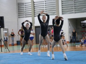 Copa Mineira de Ginástica