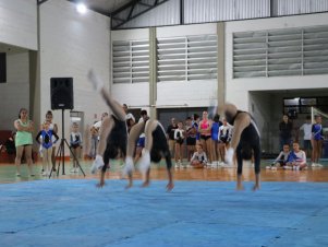 Copa Mineira de Ginástica