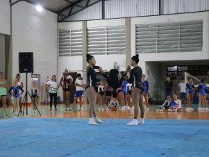 Copa Mineira de Ginástica