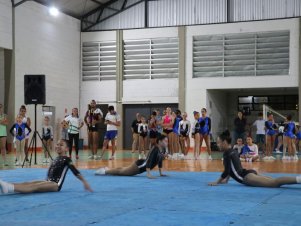 Copa Mineira de Ginástica