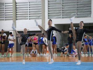 Copa Mineira de Ginástica