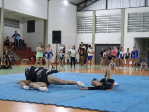 Copa Mineira de Ginástica