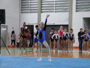 Copa Mineira de Ginástica